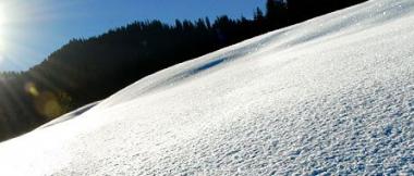 snowy field